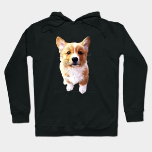 Corgi Puppy Dog Art Hoodie